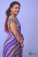 Aditi Myakal At Ami Thumi Movie Pre Release Function